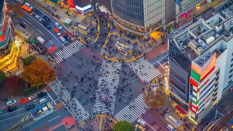 都市部(TEST)