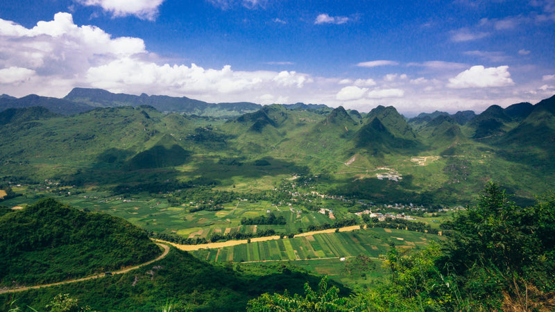 山間部、山道(TEST)