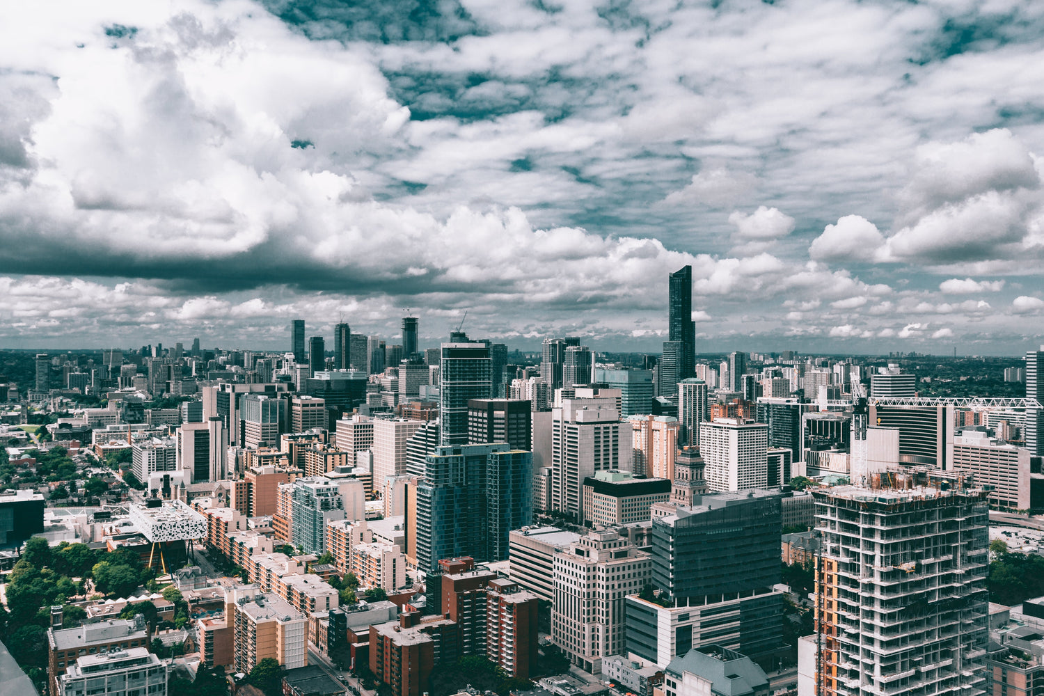 都市部（TEST）